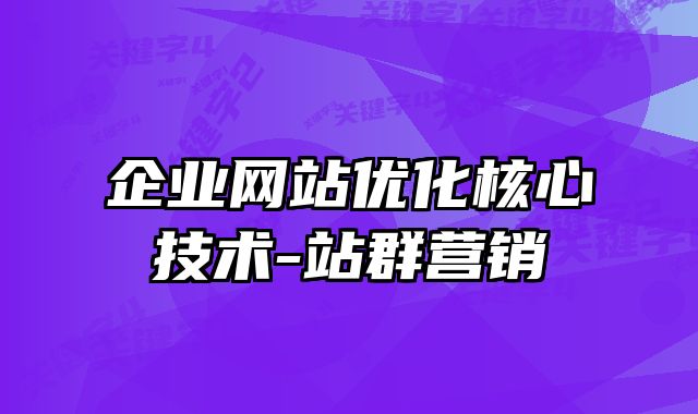 广东企业网站优化核心技术-站群营销